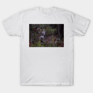 Young Prince - White-tailed Deer T-Shirt